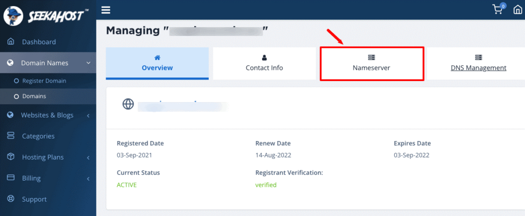 how-to-update-nameserver-details-for-domain-of-the-blog