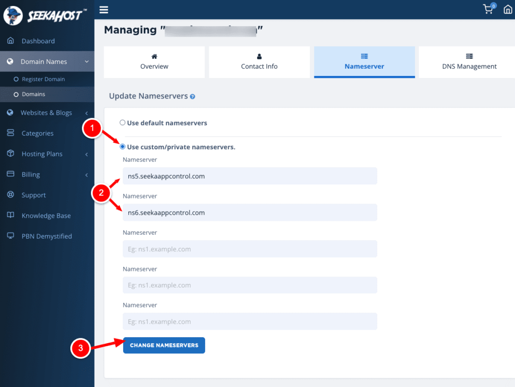 in-seekahost.app-changing-nameservers-for-domain-name