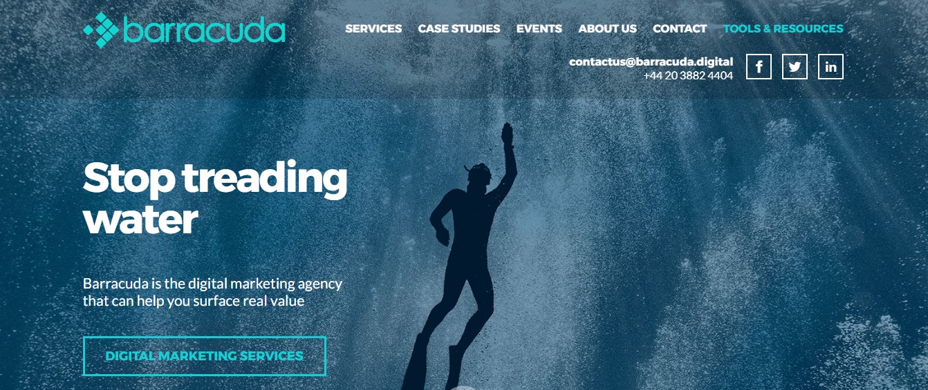 Barracuda Digital Agency