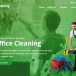 quick cleaning hosted by SeekaHost